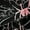 Black Pink, variant on Manfei Boys Happy Halloween Black Out Curtains,Spider Webs Curtains Pack of 2 (42x63 Each),Red Black Bedroom Curtains For Teens,Ultra Soft Home Decor