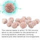 thumbnail image 3 of Bacterias para acuario, 1 paquete de bacterias nitrificantes de calidad del agua, bacterias de agua para peces, resistentes y resistentes, 3 of 8