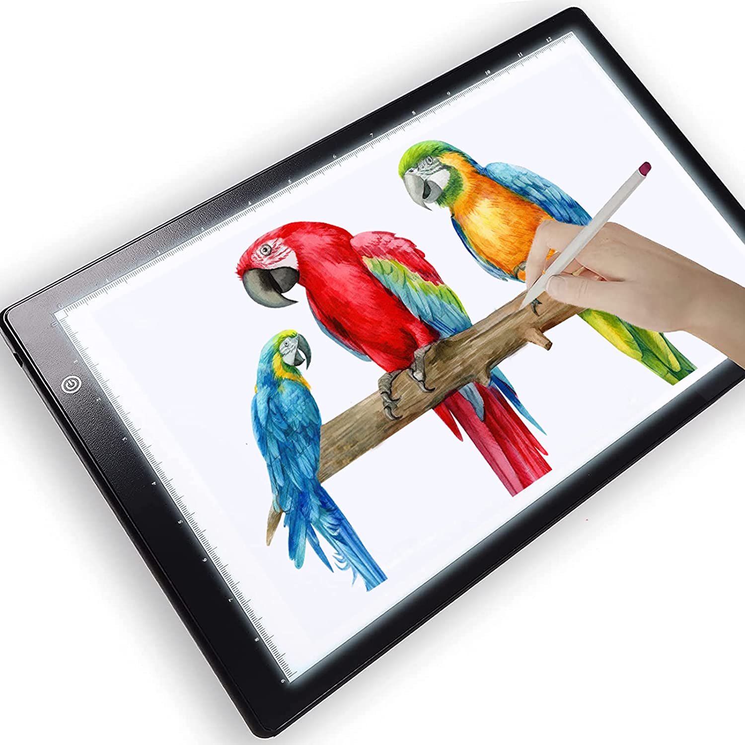 Picture/Perfect Professional Light Box for Tracing Ultra Thin