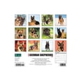 thumbnail image 2 of Just German Shepherds (Dog Breed) 2021 Wall Calendar (Other), 2 of 2