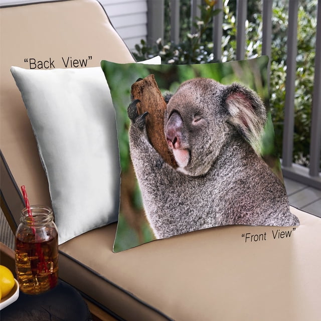 Ahgly Company Koala Animaux Coussin d'Extérieur, 18 Pouces par 18 Pouces