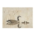 thumbnail image 2 of Toilet Rug Rectangle Bathroom Rugs Non-Slip Soft Plush Machine Washable Contour Bath Mat Elegant Goose with Goslings Swimming 24x16, 2 of 9
