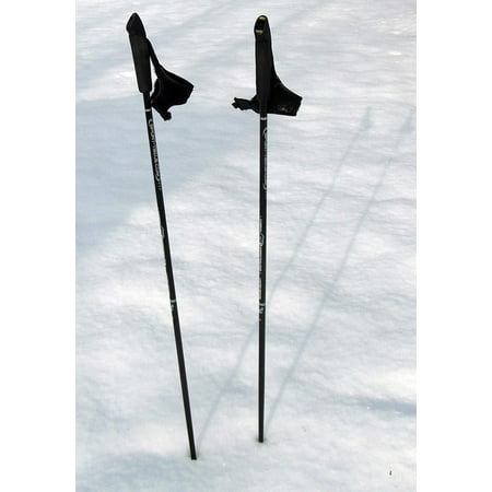 Canvas Print Hiking Ski Poles Trekking Nordic Walking Poles Stretched Canvas 10 x