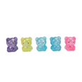 thumbnail image 1 of 5 Pcs Bear Stress Balls Mixed Colors Soft Flexible TPR Stress Relief Slow Rising Stretchy Squeeze Balls for Kids Adults, 1 of 4