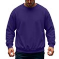 thumbnail image 2 of Hearthz Mens Crewneck Sweatshirts Solid Color Oversized Mens Fleece Sweatshirt Fall Winter Drop Shoulder Mens Long Sleeve Tee Shirts Purple L, 2 of 4