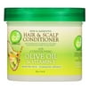 TCB Naturals Conditioner Hair & Scalp Olive Oil & Vitamin-E Jar, 10 Ounce
