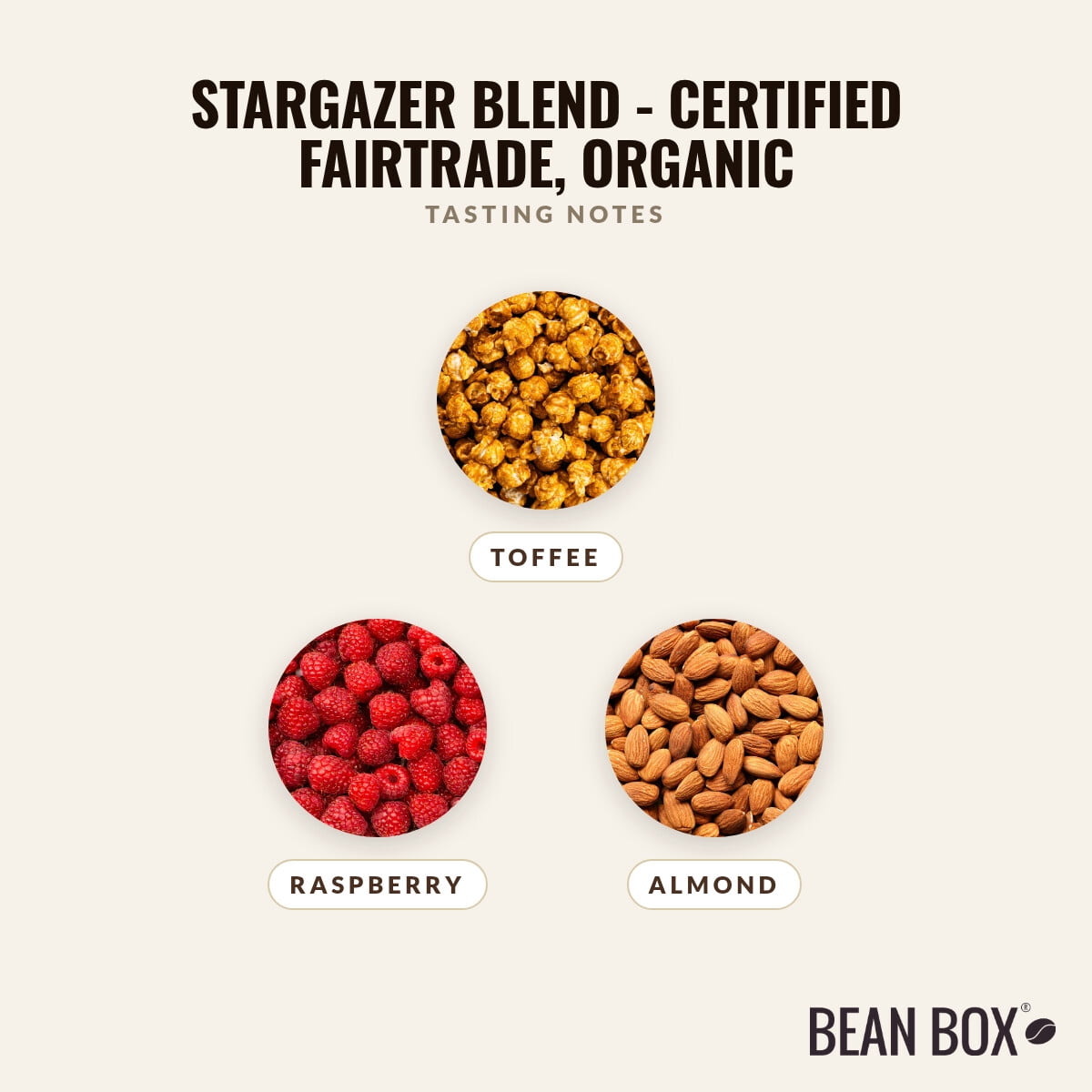 Stargazer Blend - Certified Fairtrade, Organic - Roasted by Gimme! Coffee - Whole Bean Coffee - 12oz Bag