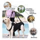 thumbnail image 5 of Arnés De Chaleco Para Perros Arnés De Elevación Para Perros, 5 of 8