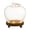 B, variant on Glass Apple Case with Wooden Base, Transparent Apple Shaped Display Dome, Glowing Base Cloche for Flowers Rings Mini Keepsakes, Valentine's Day Gift Decor, 5.31"