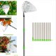 thumbnail image 5 of Recolector de Frutas con Pértiga Telescópica, de Metal, para Huertos, Jardinería, Recolección de Melocotones, Recolección de Frutas., 5 of 5