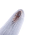 thumbnail image 4 of LeeQinersw 1/6 Scale Long Straight Wig Hairpiece White Hair for 12'' Dolls Accessory Making Silver, 4 of 9