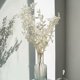 thumbnail image 4 of Flores de Ruscus Secas para Siempre de 45Cm DecoracióN Floral DIY Ramo de Flores Secas para DecoracióN del Hogar de Boda, 4 of 5