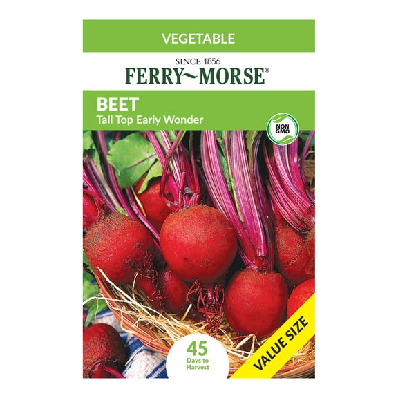 Ferry-Morse Economy 7G Beet Tall Top Early Wonder Annual Vegetable Seeds, Full Sun