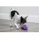 thumbnail image 5 of Juguete de Peluche chirriante goDog Checkers Dinos Bruto Morado Mini para Perro, 5 of 8