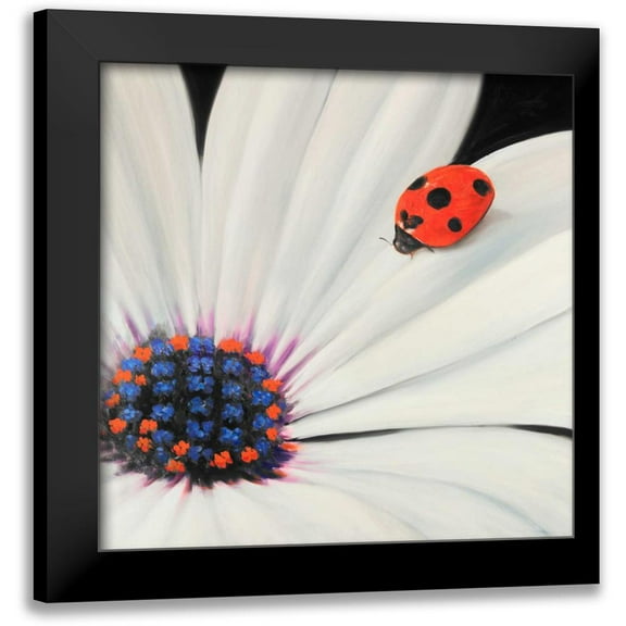Atelier B Art Studio 12x12 Black Modern Framed Museum Art Print Titled - White Daisy and Ladybug