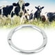 thumbnail image 1 of Anillo de nariz de acero inoxidable para ganado NikouMX, 1 of 8