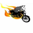 thumbnail image 3 of CafePress - Flaming Awesome Possum Dark T Shirt - Men's Classic Cotton T-Shirts, 3 of 3