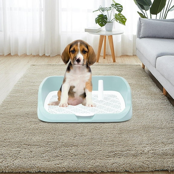 Pet Dog Toilet, Dog Potty Tray Puppy Pee Pad Anti Splashing Easy to Clean Reusable Indoor Lavatory Basin for Medium Dogs Training Pad Holder Green