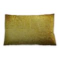 thumbnail image 1 of Ahgly Company Outdoor Rectangular Contemporary Lumbar Throw Pillow, 13 inch by 19 inch, 1 of 5