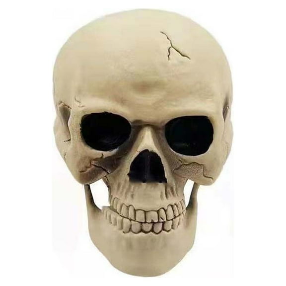 Coollooc Scary Halloween Decorations Outdoor Skeleton Arms and Hands Life Size Skeleton Stakes for Halloween Yard Decorations Skeleton Outdoor Halloween Decor