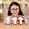 thumbnail image 4 of 2x Divertido Juguete de Peluche de Hámster Novedad Animal Registro de Sonido Repetir Muñeca Zulema Juguetes de hámster parlante, 4 of 7