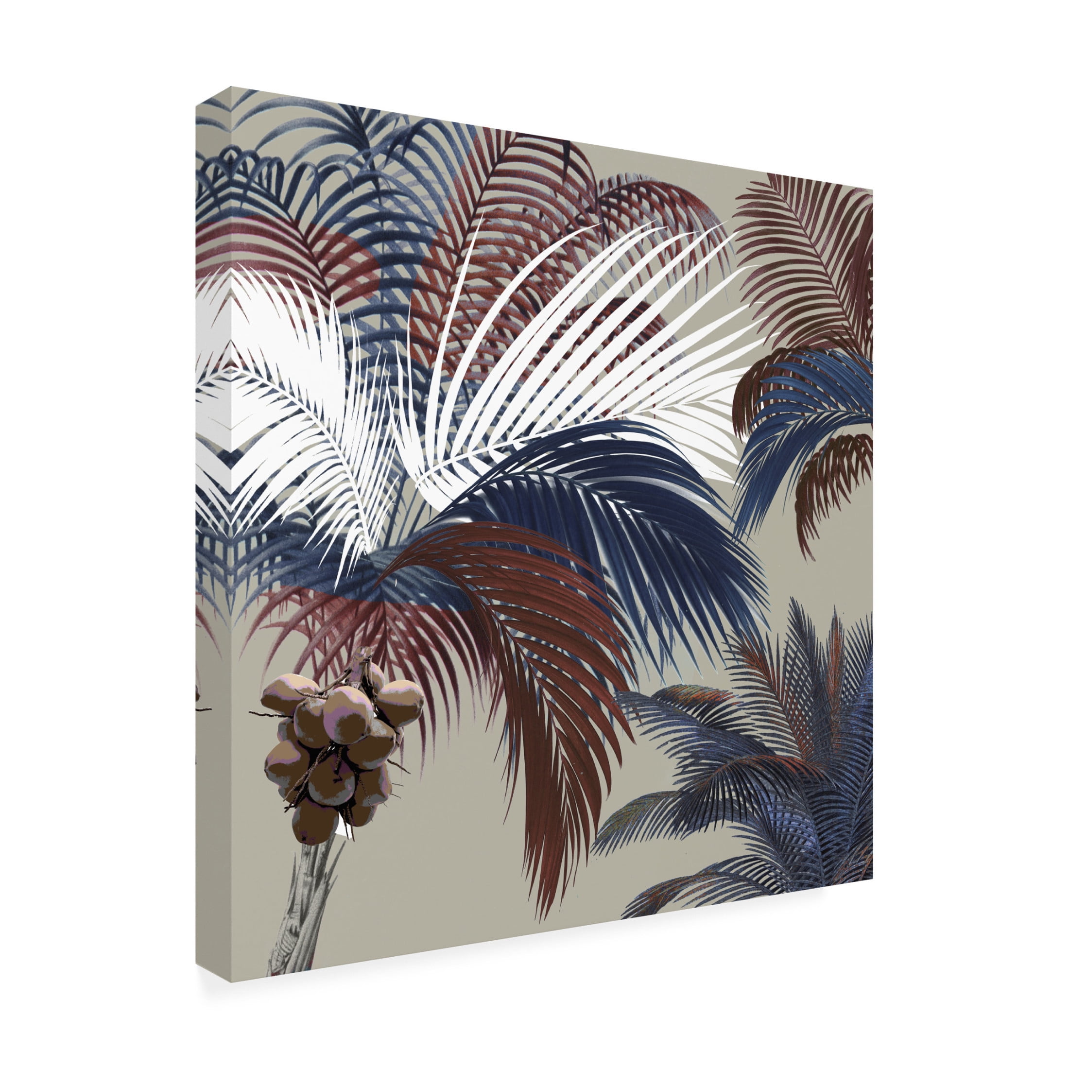 Canvas Wall Art - Sasha 'American Palm' Wall Art for Living Room, Bedroom, or Office Décor by Trademark Fine Art - 14 x 14 Inches