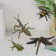 thumbnail image 5 of 4 Uds. Figuras Modelo De Insectos Animales Suministros Educativos Suministros Para Preescolar, 5 of 8