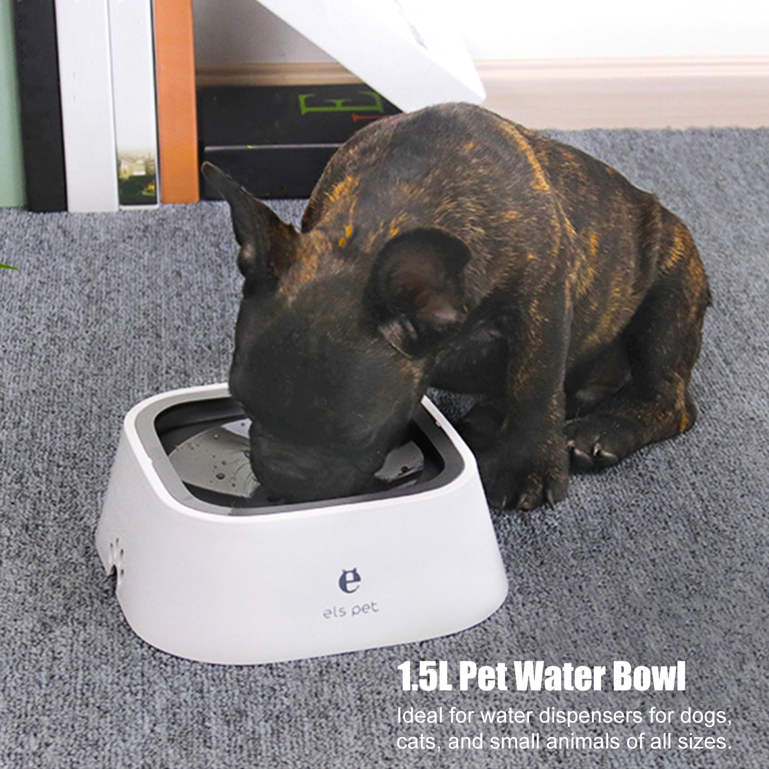 slow waterer for dogs