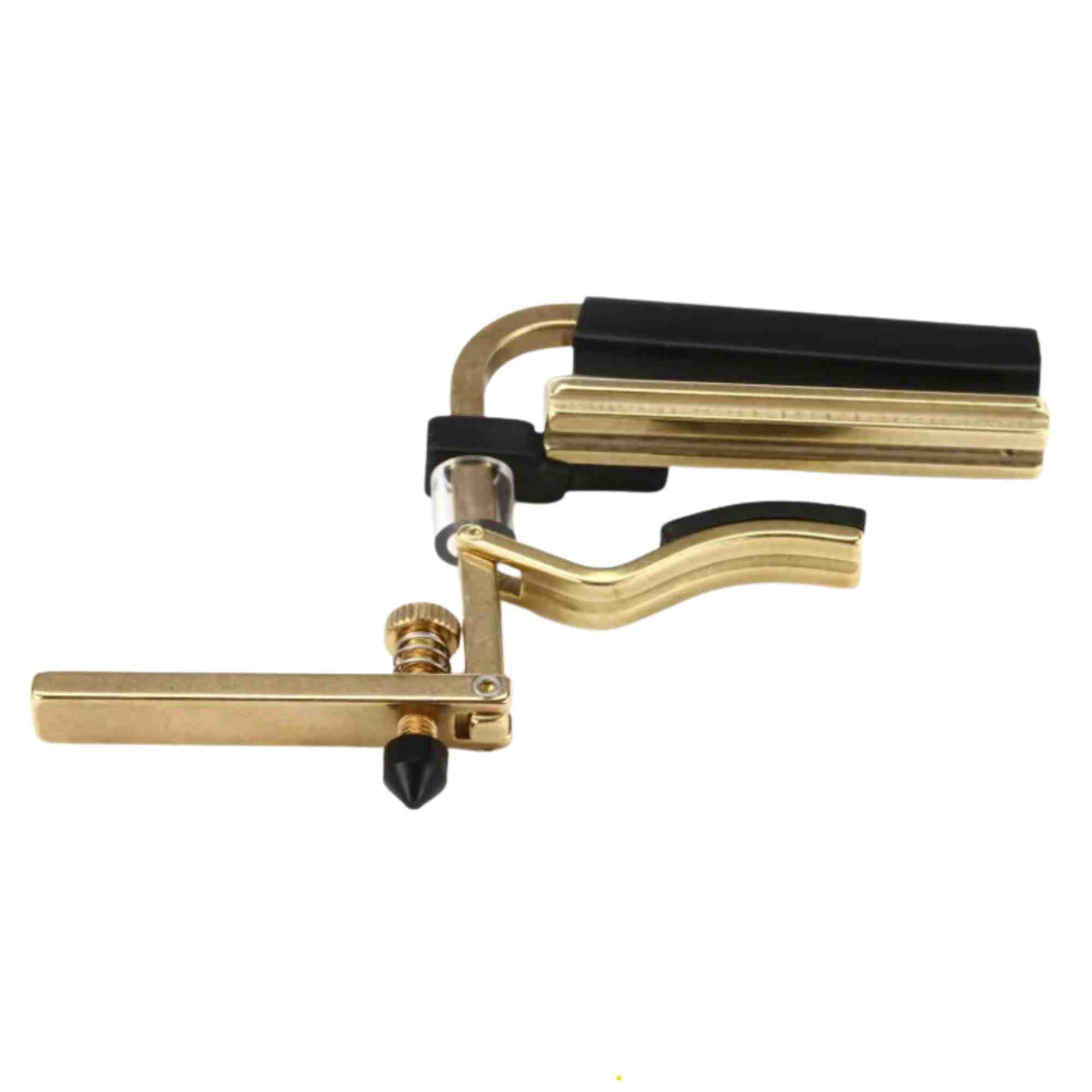 SHUBB DOBRO CAPO