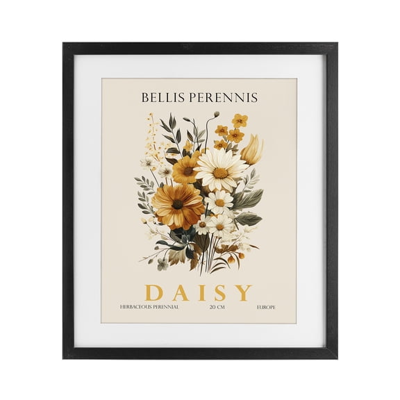 Stupell Industries Traditional Nature Daisy Bundle Black Framed Print Under Glass, 17 x 21, by Christopher Giampietro