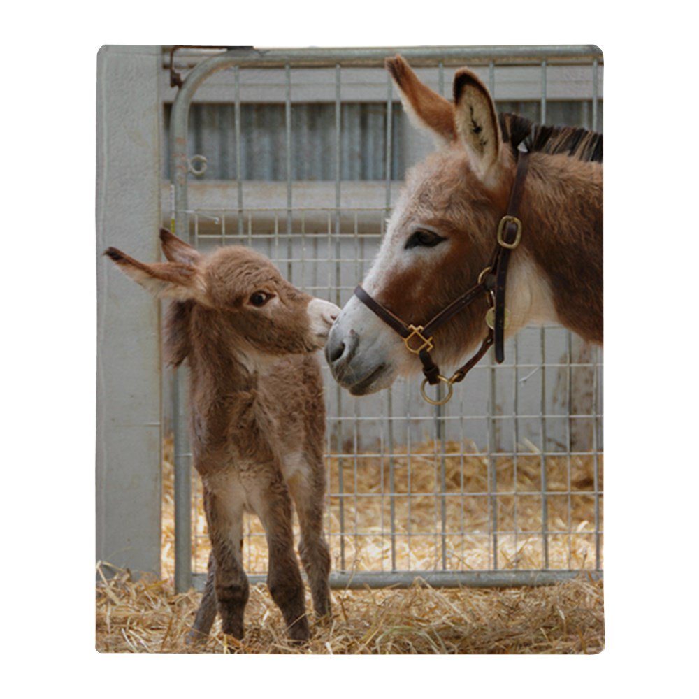 CafePress Newborn Donkey Foal Throw Blanket Soft Fleece Throw