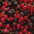 thumbnail image 2 of Café Viva, 2 of 3