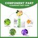 thumbnail image 5 of Anti-edema Ginger Pad Detox Adelgazante Pie Parches Tratamiento de hierbas naturales Ndcxsfigh Cuidado Belleza, 5 of 8