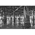thumbnail image 2 of Lee Peterson 18x13 White Modern Wood Framed Wall Art Titled - Pier Pilings XI, 2 of 5