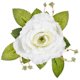 thumbnail image 2 of Ramo de Rosas Abierta con Follaje Fantasias Miguel Art-4641 11 Botones Color Blanco, 2 of 3