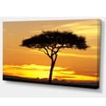 thumbnail image 2 of Beautiful Sunset Through Acacia Tree - African Landscape Canvas Art Print, 2 of 3