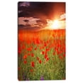 thumbnail image 2 of Wild Poppy Flowers At Cloudy Sunset - Large Flower Canvas Art Print, 2 of 3