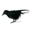 thumbnail image 1 of LIWEN Accessoire Corbeau Fait Main Forme de Corbeau Support Noir pour Extérieur, 1 of 8