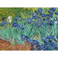 thumbnail image 2 of Van Gogh, Vincent 32x25 White Modern Wood Framed Museum Art Print Titled - Irises 1889, 2 of 4