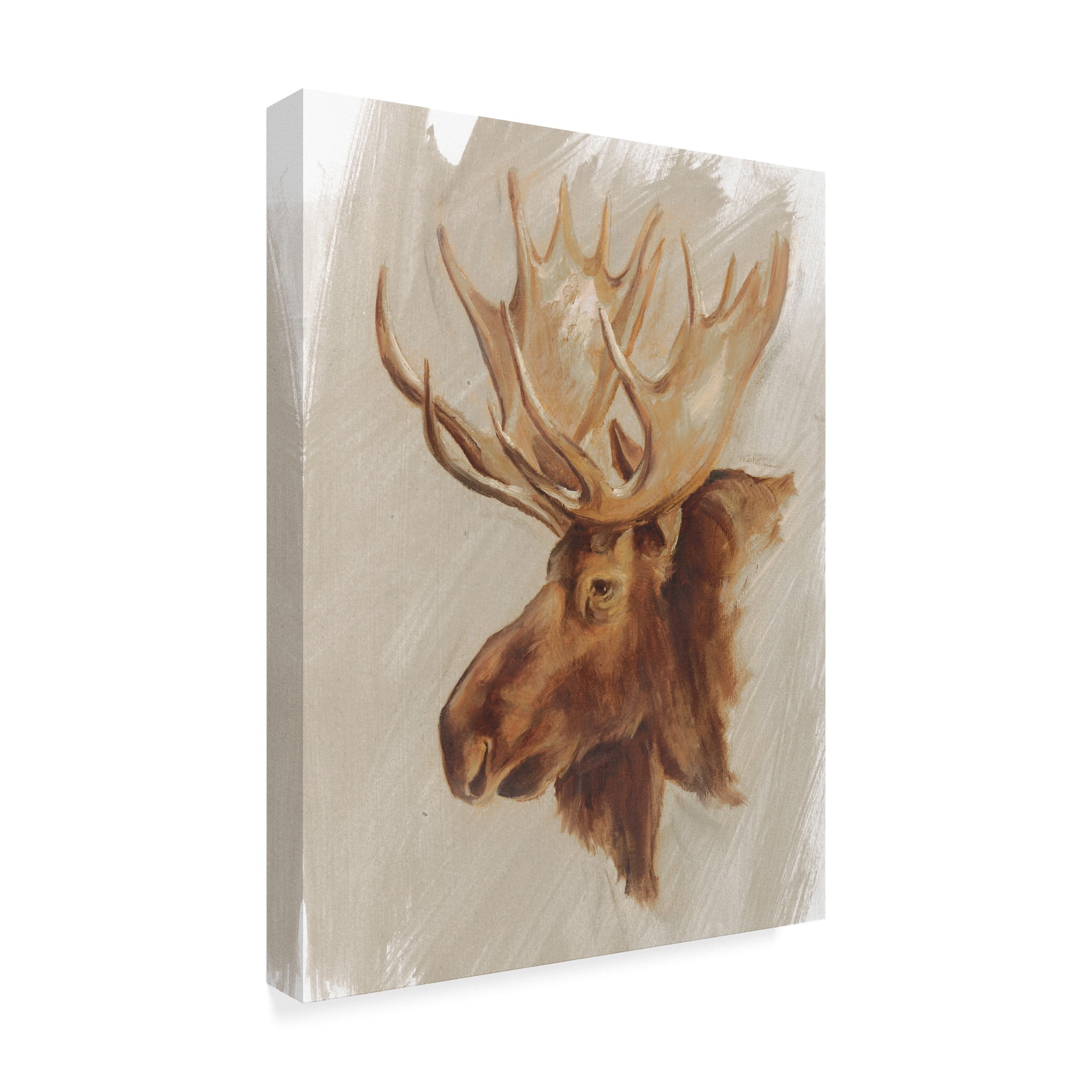 Trademark Fine Art 'Western American Animal Study II' Canvas Art by Ethan Harper