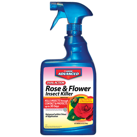 Bayer Advanced Dual Action Rose and Flower Insect Killer (Best Aphid Spray For Roses)