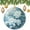 pattern-2234, variant on Christmas Tree Ornaments White And Light Blue Rose Flowers 2024 Christmas Ornaments Abstract Daisy Flower Ornament Hanging Ornaments for Christmas Tree Decoration Xmas Day Home Party Decorations
