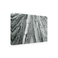 thumbnail image 2 of Alan Majchrowicz 'Redwoods Forest IV BW' Canvas Art, 2 of 3