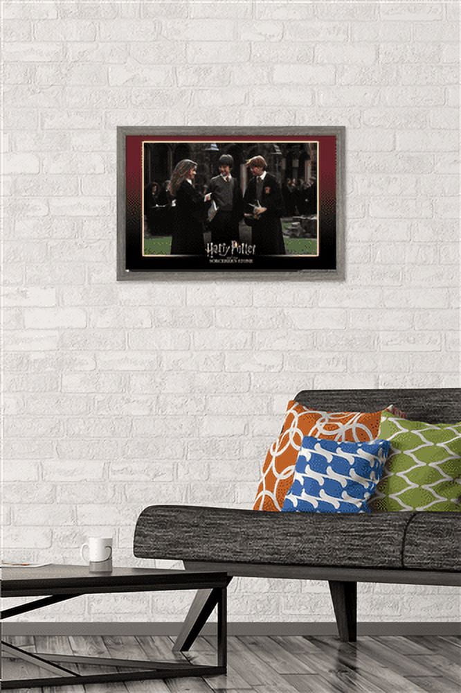 Harry Potter and the Sorcerer's Stone - Friends Wall Poster, 14.725" x 22.375", Framed