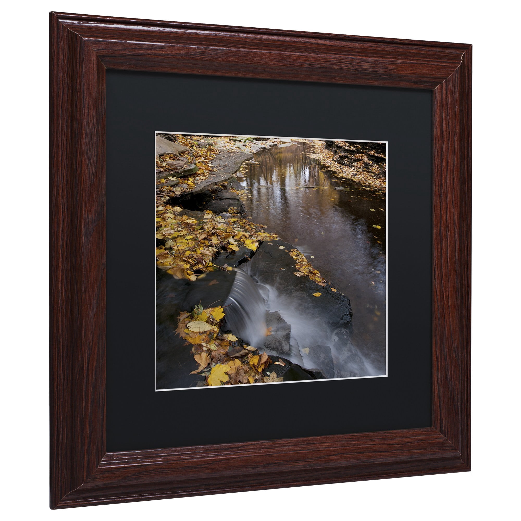 Trademark Fine Art "Lakeview Autumn Waterfall #2" Canvas Art by Kurt Shaffer Black Matte, Black Frame