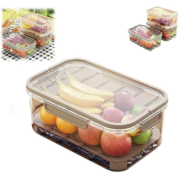 Outdoor Ice Preservation Box, Kitchen Refrigerator Storage Box, Snack Box with Ice Pack & Handle, Clear Ice Preservation Holder with Drain Divider for Camping Picnic