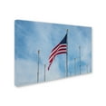 thumbnail image 2 of Trademark Fine Art "Red, White and Blue" Canvas Art by David Ayash, 2 of 3