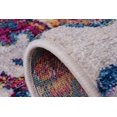 thumbnail image 4 of Ladole Rugs Johanna Floral Blotanical Persian Pattern Beautiful Soft Big Runner Rug Carpet Tapis in Multicolor, 4 of 4