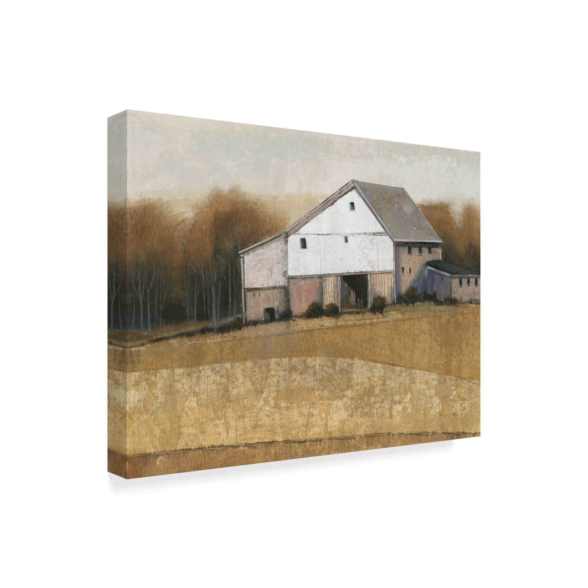 Trademark Fine Art 'White Barn View I' Canvas Art by Tim OToole