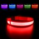 thumbnail image 1 of Collar para perros recargable e impermeable con luz LED intermitente y correa ajustable para perros pequeños, medianos y grandes (rojo, L)., 1 of 5